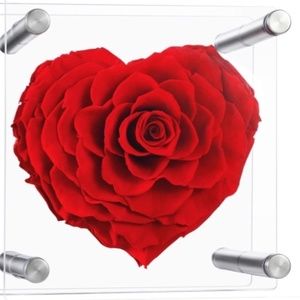 Forever Heart Shape Rose 4.7in Real Eternal Rose Box Fully Handmade